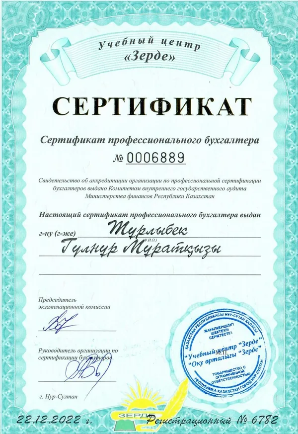 Сертификат профессионального бухгалтера — Тұрлыбек Гүлнұр